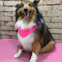 324403832_1277673302793257_491960330468184174_n