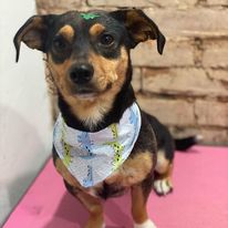 324657303_701708964797138_1422054887900112460_n