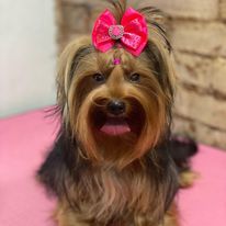 325450295_1613515382415774_7841840287110359774_n