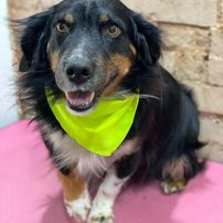 326665646_576320334003031_8660410601185854599_n