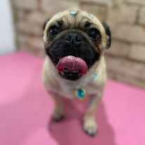 327047287_6221291311237087_2636545383189267586_n