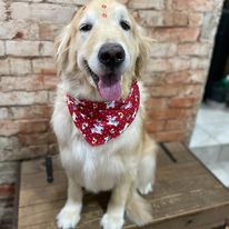 327073333_911744026918579_638534893991000423_n