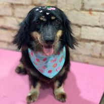 327098166_1819869198392882_2153916671737794053_n