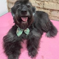 327114527_937256137440503_3676762474454000162_n