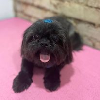 327308064_561649752317328_2465511950392195384_n