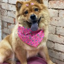 327312620_904042324365681_5771493605096254674_n