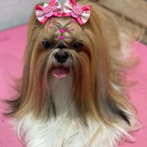 327551405_705725284530032_4276647069296212333_n