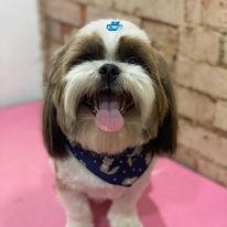 327556821_1217881715520580_4369091561257334295_n